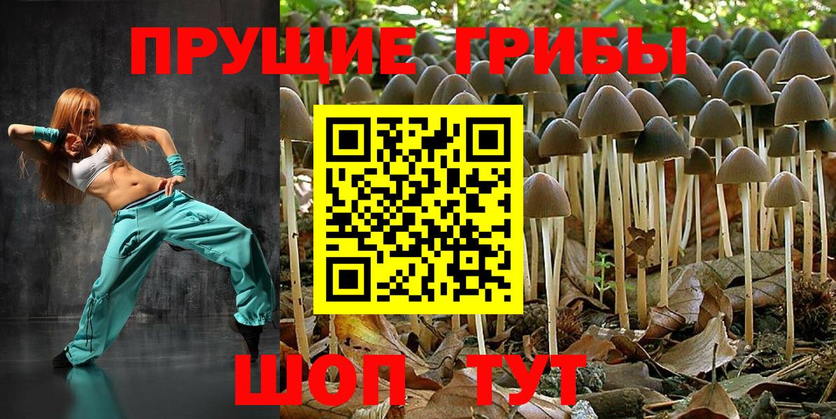 Псилоцибиновые грибы Cubensis  Вход с VPN  Лиски  Псилоцибиновые грибы прущие грибы 